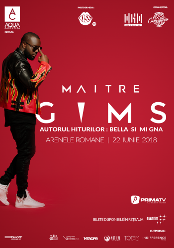 matre-gims-a3-poster